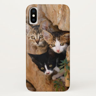 Coques Pour iPhone Trois Cute Curieux Chat Kittens Visages Drôle Phot