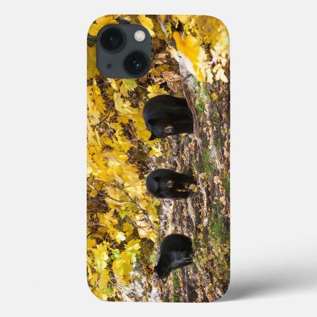 Coques Case-Mate iPhone Trois ours (Verso)