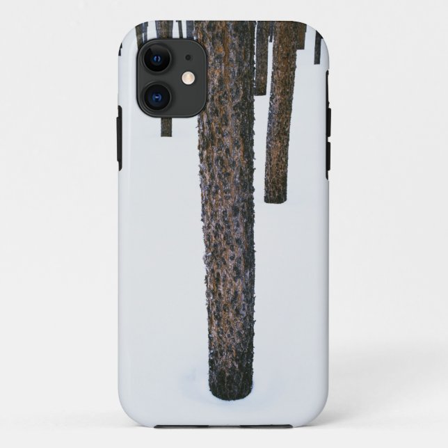 Coques Case-Mate iPhone Troncs d'arbre dans la neige (Dos)