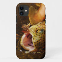 Trout and Fly