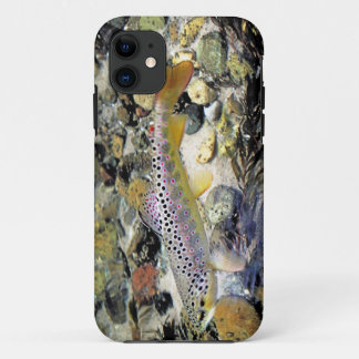 Coque iPhone 11 Truite Brown du Michigan