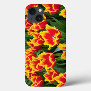 Coques Pour iPhone Tulipa Fabio, Keukenhof, Netherlands