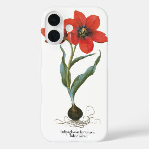 Coques iPhone 16 Tulipe de jardin rouge vintage printemps par Besle