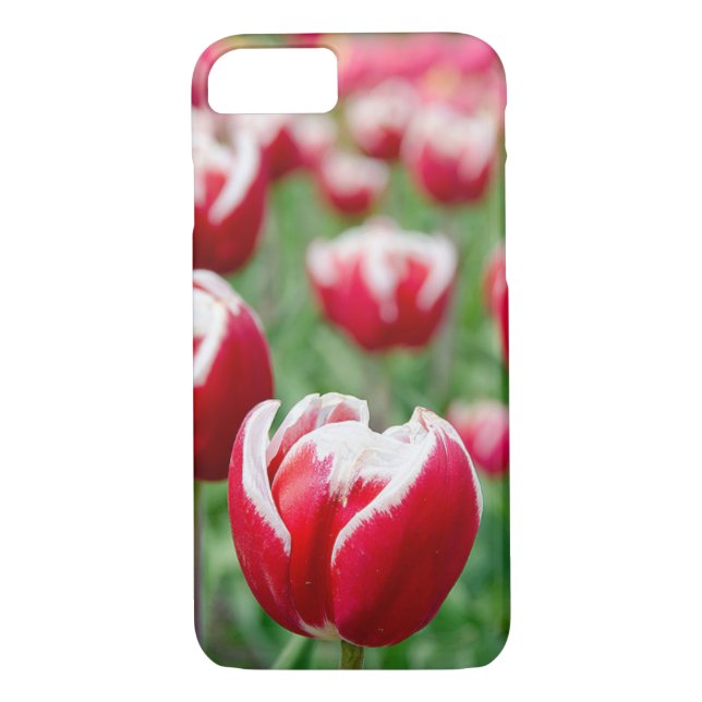 Coques Case-Mate iPhone tulipe rouge (Dos)
