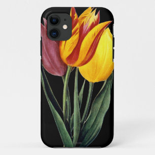 Coque Case-Mate Pour iPhone Tulipe (Tulipa Gesneriana)