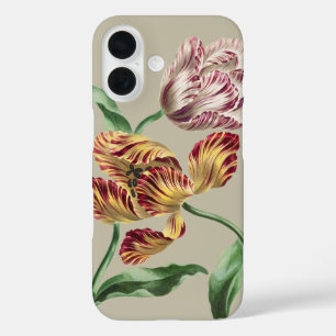 Coques iPhone 16 Tulipes Botaniques du 18ème Siècle de Style Vintag
