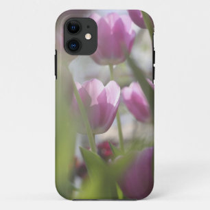 Coque Case-Mate Pour iPhone Tulipes, Jardins de Keukenhoff, Pays-Bas.