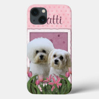 Tulipes roses - Bichon et maltais