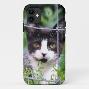 Coques Pour iPhone Tuxedo Kitten Xena dans le boîtier Garden iPhone 4
