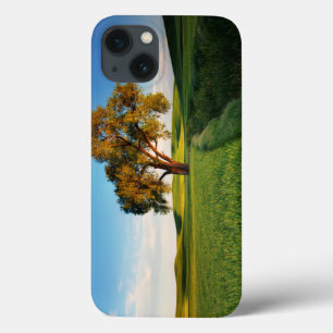 Etui iPhone Case-Mate Un arbre isolé entouré de collines ondoyantes de b