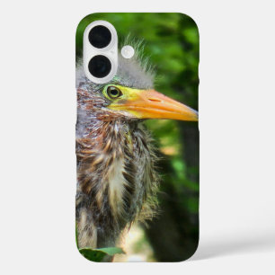 Coques iPhone 16 Un bébé héron vert