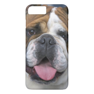 Etui iPhone Case-Mate Un bouledogue anglais en Belgique.