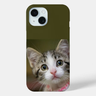 Coque Pour iPhone 15 Un chaton mignon aux yeux verts