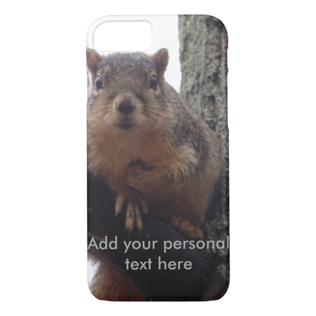 Coques Case-Mate iPhone Un écureuil regarde votre boîte téléphonique (Dos)