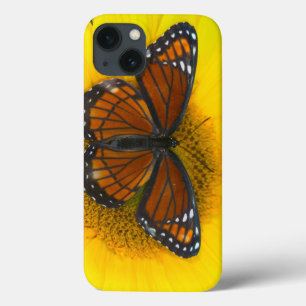 Case-Mate iPhone Case Un Limenitis Archippus du papillon de vice-roi