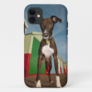 Case-Mate iPhone Case Un Lurcher se tenant devant quelques huttes de
