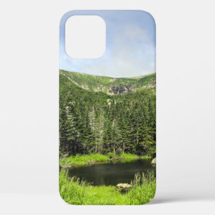 Case-Mate iPhone Case Un petit étang dans la vallée des montagnes