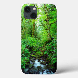 Etui iPhone 13 Un ruisseau dans une forêt ancienne