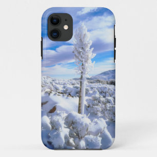 Coque iPhone 11 Un yucca enneigé