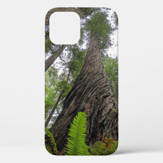 Case-Mate iPhone Case Une foune qui atteint le ciel le long de l'écorce