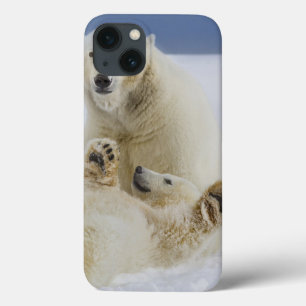 Coques Pour iPhone Une ourse polaire et son ourson jouent dans la nei