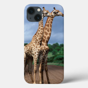iPhone 13 Case Une paire de girafes sur la route, Kruger National