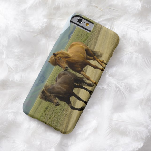 Coques Case-Mate iPhone Une paire de poneys islandais Brown (In Situ)