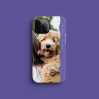 Une photo de couleur violet preppy