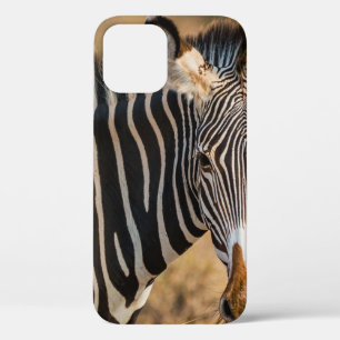 Case-Mate iPhone CASE UNE ZEBRA CURIEUSE DANS LA RÉSERVE NATIONALE DE SA