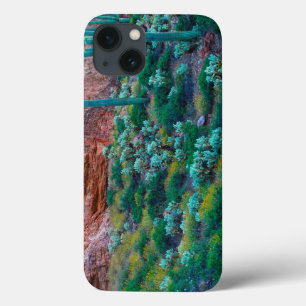iPhone 13 Case USA, Arizona. Flore du désert