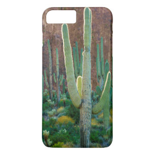 Coque iPhone 8 Plus/7 Plus USA, Arizona. Le Champ De Cactus Du Saguaro Par Un