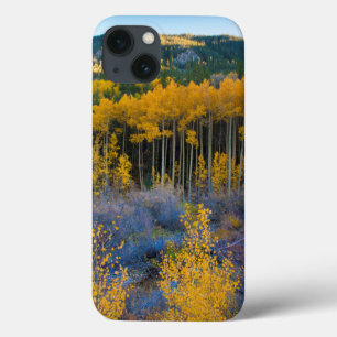 Etui iPhone Case-Mate USA, Colorado. Bright Yellow Aspens in Rockies