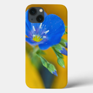 Coques Pour iPhone USA, Colorado. Close-up of cranesbill geranium