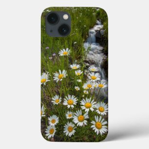 Case-Mate iPhone Case USA, Colorado, San Juan Mountains. Daisies
