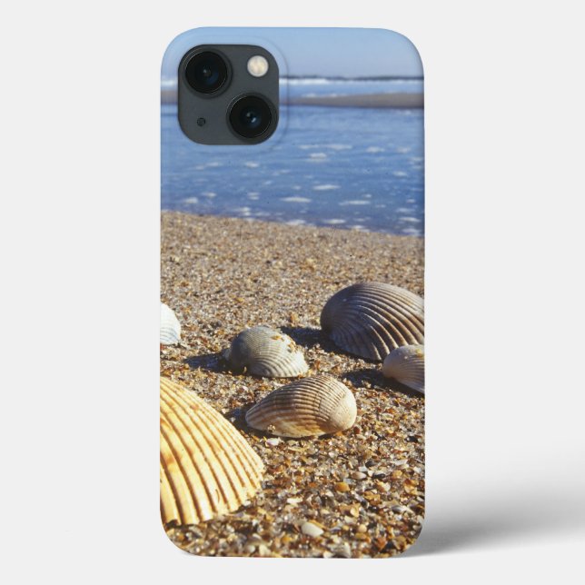 Coques Case-Mate iPhone USA, Floride, Coastal Sea Shells (Verso)