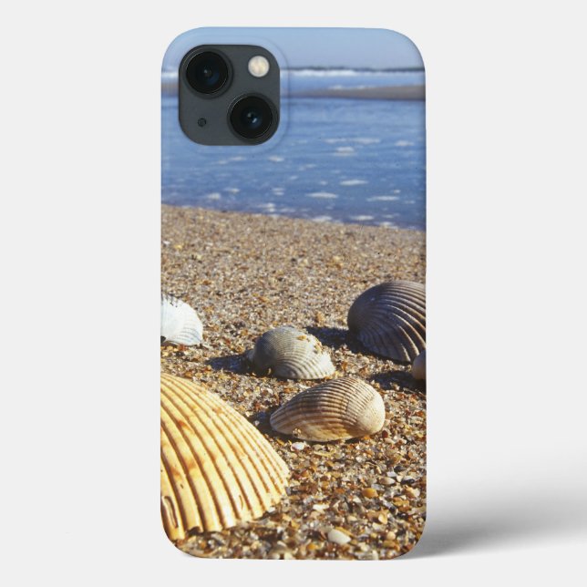 Coques Case-Mate iPhone USA, Floride, Coastal Sea Shells (Verso)