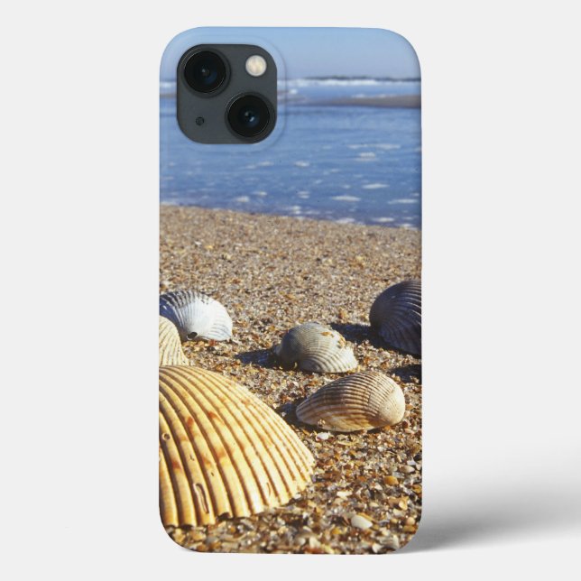 Coques Case-Mate iPhone USA, Floride, Coastal Sea Shells (Verso)