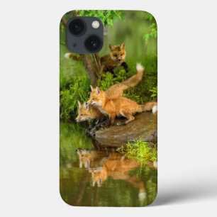 Etui iPhone Case-Mate USA, Minnesota, Sandstone, Minnesota Wildlife