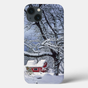 Etui iPhone 13 USA, Oregon, Clackamas County. Fresh snow covers