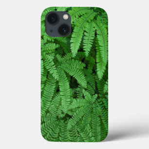 iPhone 13 Coque USA, Oregon, Silverton. Maidenhair Ferns