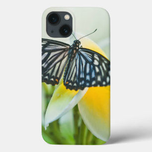 Etui iPhone 13 USA, Pennsylvania. Swallowtail butterfly