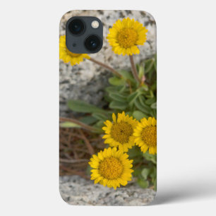 Coques Pour iPhone USA, Washington, Cascade Range 5