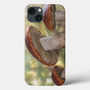 iPhone 13 Coque USA, Washington, Seabeck. Leccinum Insigne