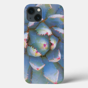 iPhone 13 Case Utah, forêt nationale de Dixie. Gros plan sur yucc