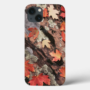 iPhone 13 Case Utah, Parc national de Sion, Motifs de l'automne