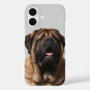 Coques iPhone 16 Vacances Mastiff Mastiff Anglais