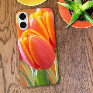 Coques iPhone 16 Plus Vibrant Tulipes Orange Jaunes Bord Photographie