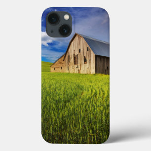 iPhone 13 Coque Vieille grange entourée de champ de blé de printem