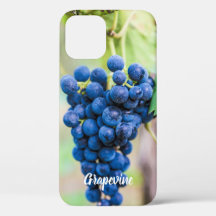 Vigne de raisin pour vin et vigneron cadeau