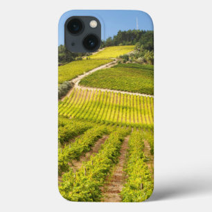 Etui iPhone 13 Vignoble, Stellenbosch, Western Cape